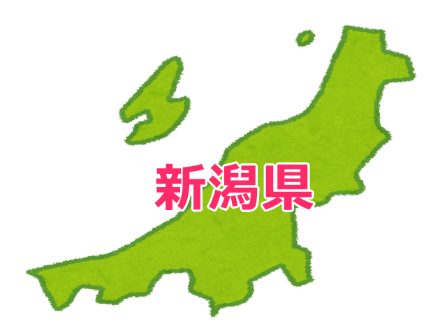 新潟県で開催されるマラソン大会一覧・口コミ・評判